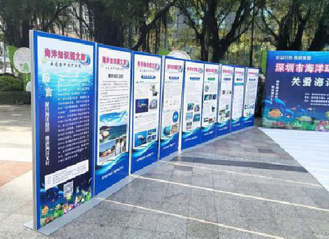 罗源KT板的种类和知识。